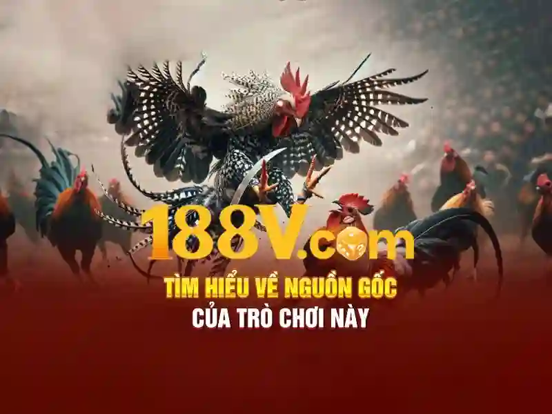 188V – Link Vào Trang Chủ Chính Thức Không Bị Chặn | Rút Thưởng 188V Tối Ưu 2026