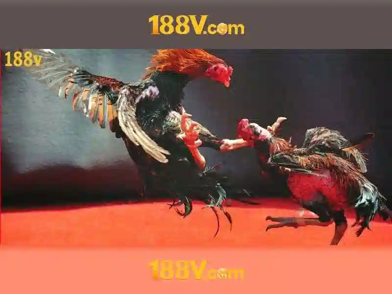 Nền tảng eSports 188V