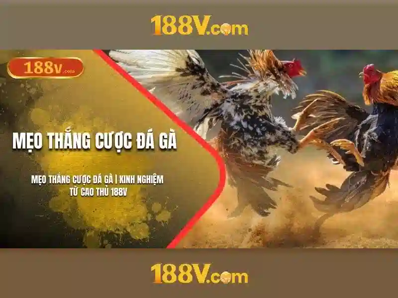 188V – Trải Nghiệm Slot Đỉnh Cao Với 188V Chính Thức Không Bị Chặn 2026