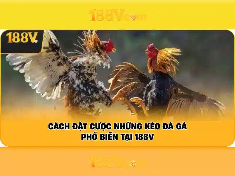 Cách Tham Gia 188V