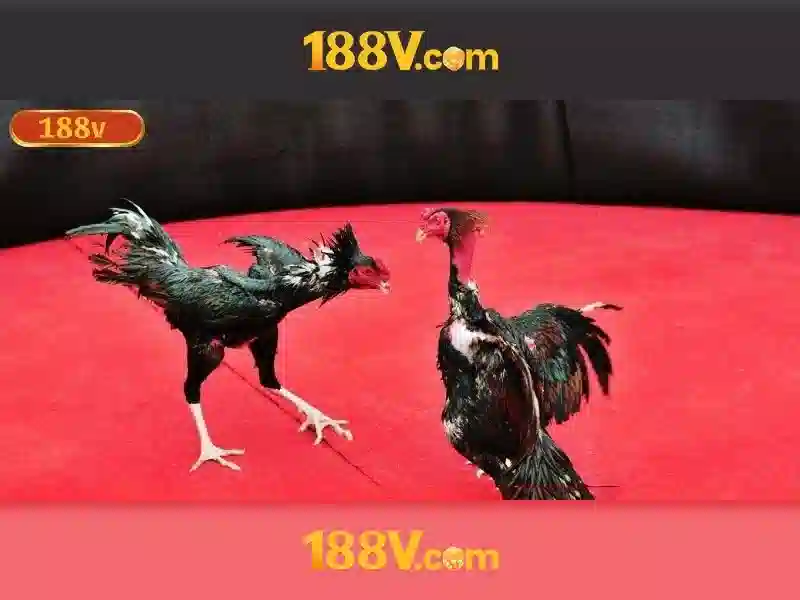 Ưu Đãi Slot Độc Quyền 188V