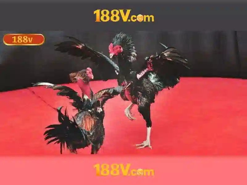 slot không bị chặn