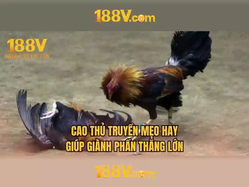 Trải Nghiệm Slot 188V