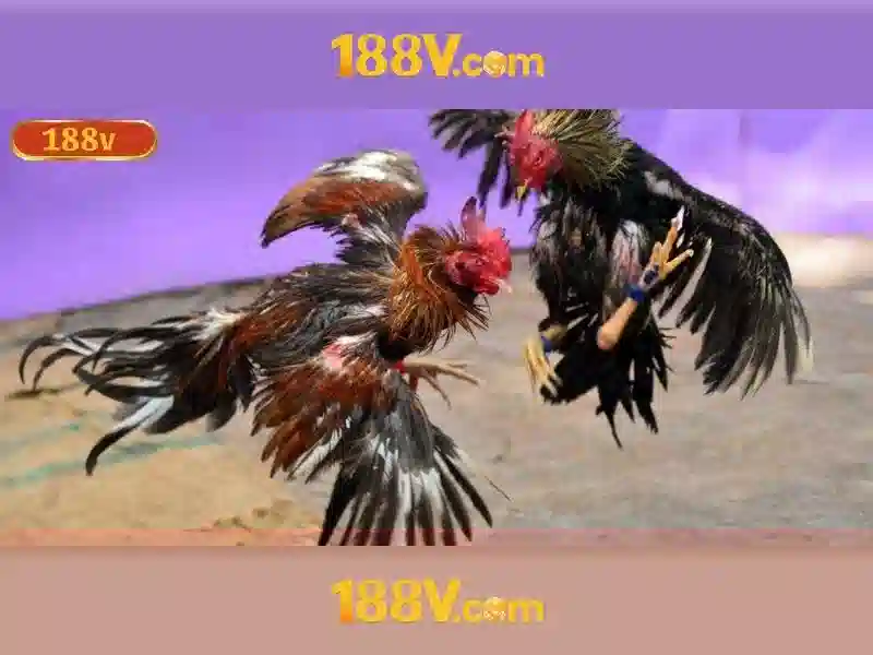 Ưu Đãi 188V
