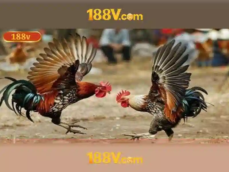 Trải nghiệm Slot đỉnh cao