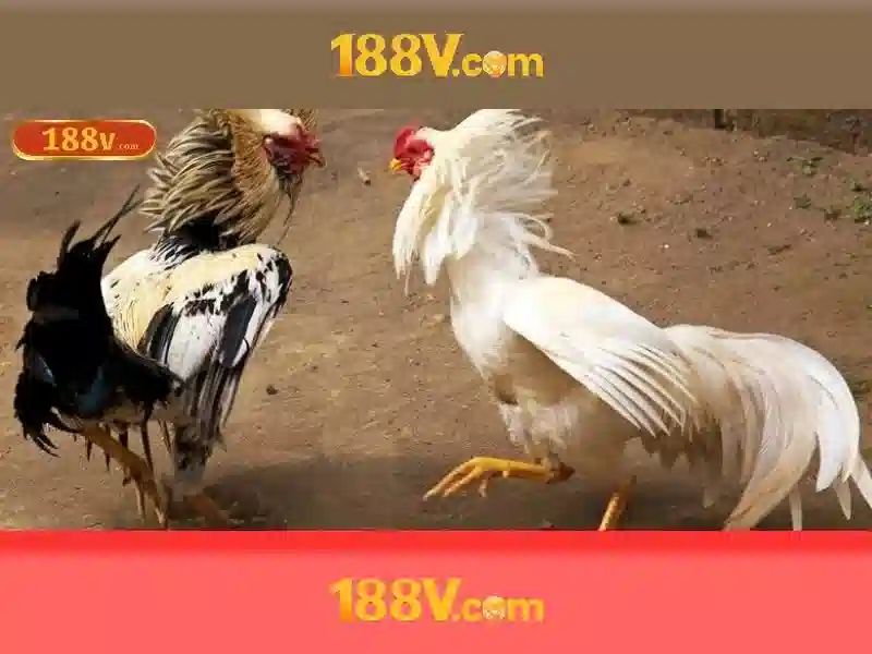 Trải Nghiệm SLOT Tại 188v