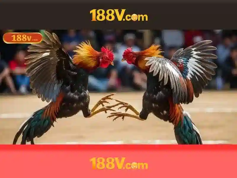 ưu đãi slot