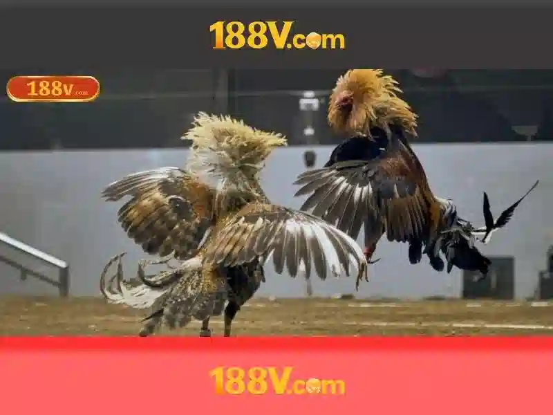 Trang Chủ eSports 188v