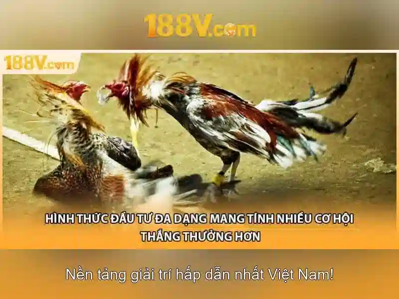 Giải Pháp Tối Ưu Cho Người Chơi Slot
