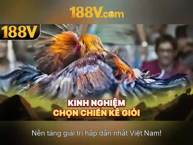 188V – Sân Chơi Cá Cược Slot Đỉnh Cao 2026 Với Phiên Bản Mới 188V