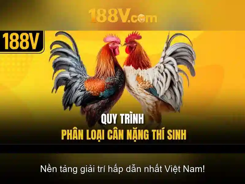 Hướng Dẫn Đăng Ký 188v Chính Thức