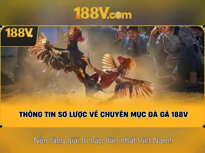 188V – Khuyến Mãi Slot Độc Quyền 2026 | Trải Nghiệm Slot 188V Miễn Phí