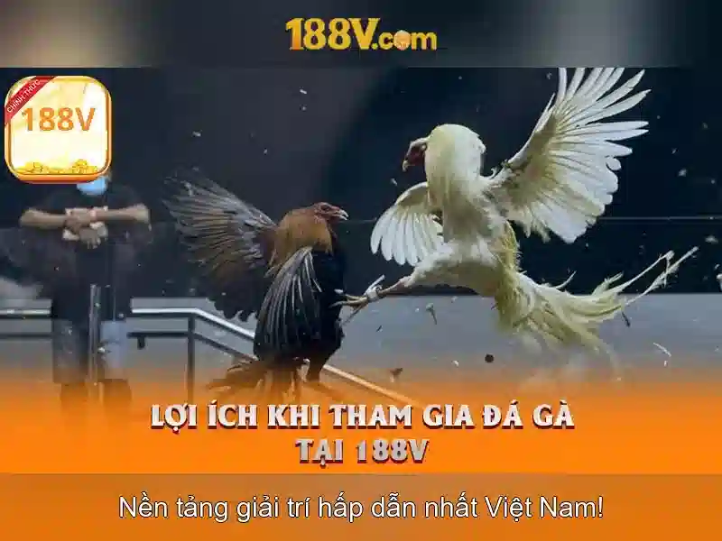 Đánh Giá 188V Có Lừa Đảo Không
