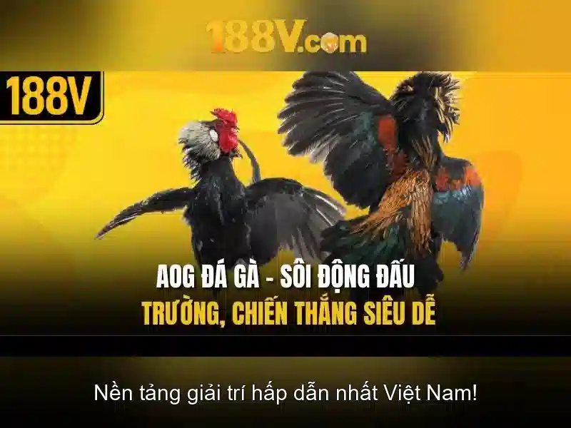 Giới Thiệu Về 188V