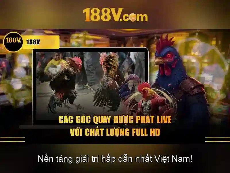 Cập Nhật Mới