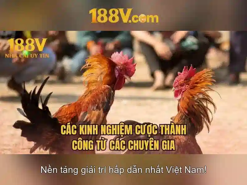 Tải 188V APK