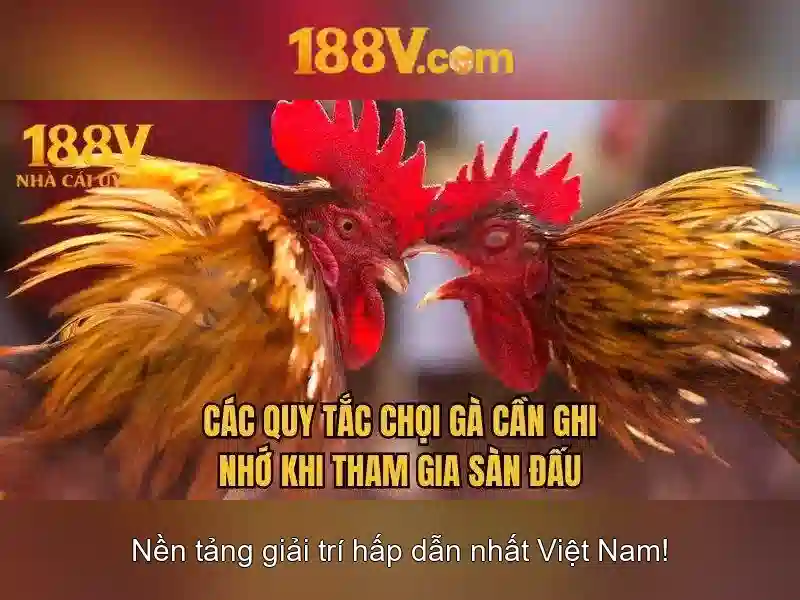 Đánh giá 188v có lừa đảo không