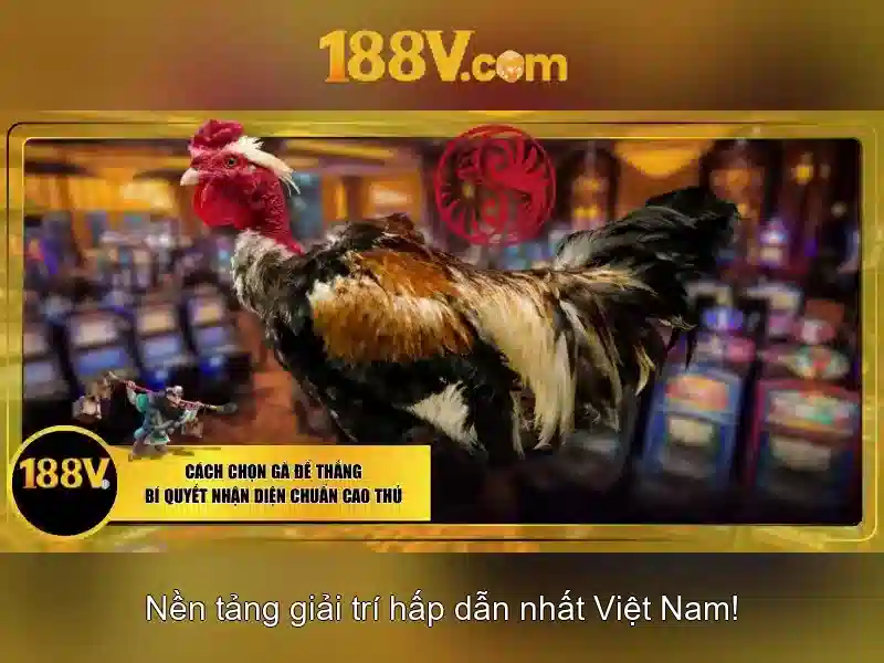 Đăng ký 188v
