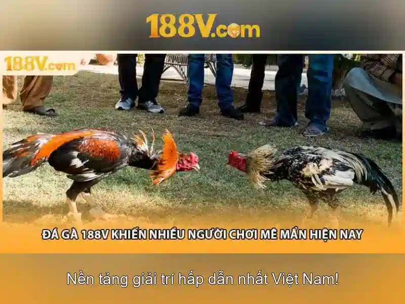 Hướng Dẫn