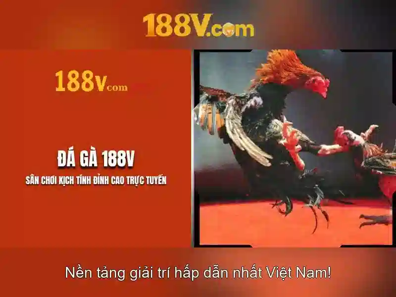 Nền Tảng Cá Cược eSports Đỉnh Cao
