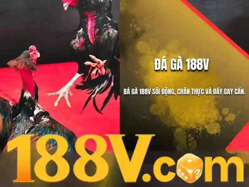 Trải nghiệm Slot đỉnh cao không bị chặn