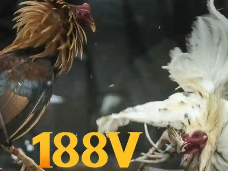 Lý Do Chọn 188V Là Nền Tảng SLOT Uy Tín